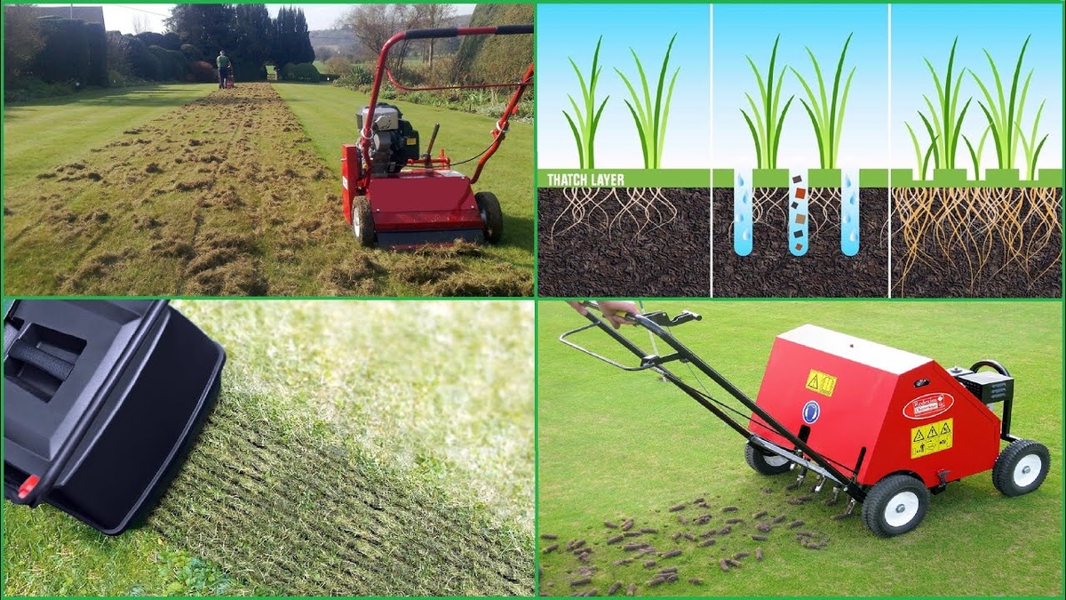 Уход за газоном весной