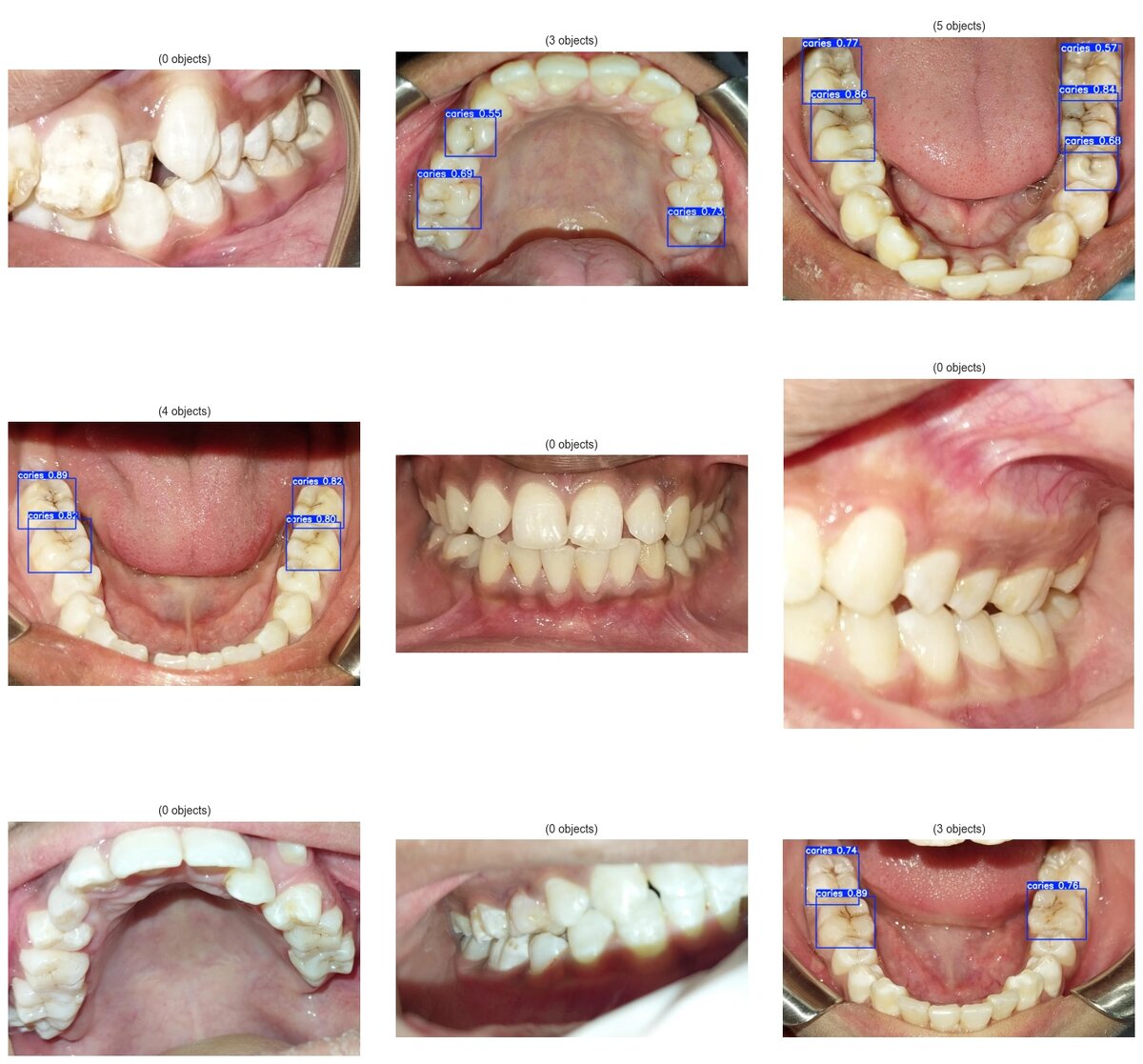    Фото: пресс-центр ЮФУ