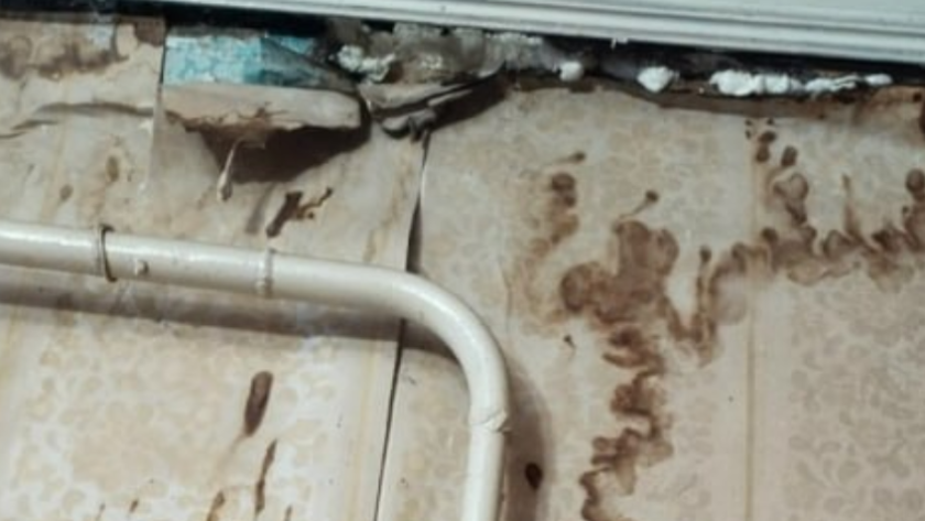    Фото: Информационный центр СК России с сайта www.yarnews.net