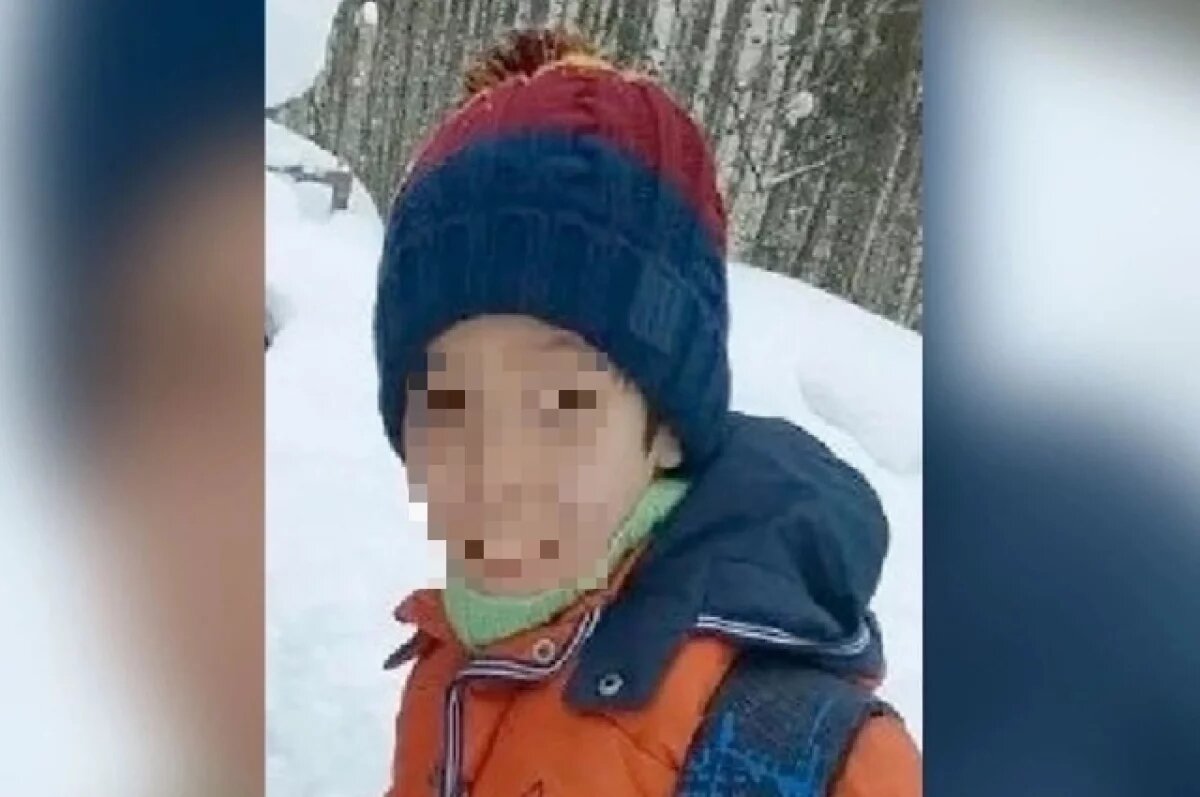    Бабушка пропавшего в Коми 9-летнего мальчика сказала, что с ним произошло