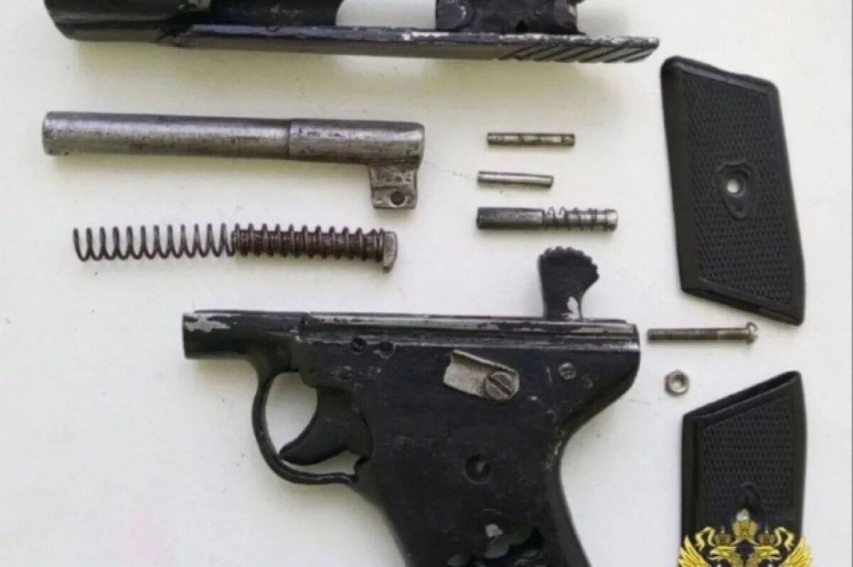    Белгородца осудили за хранение самодельного пистолета и кражу обогревателя