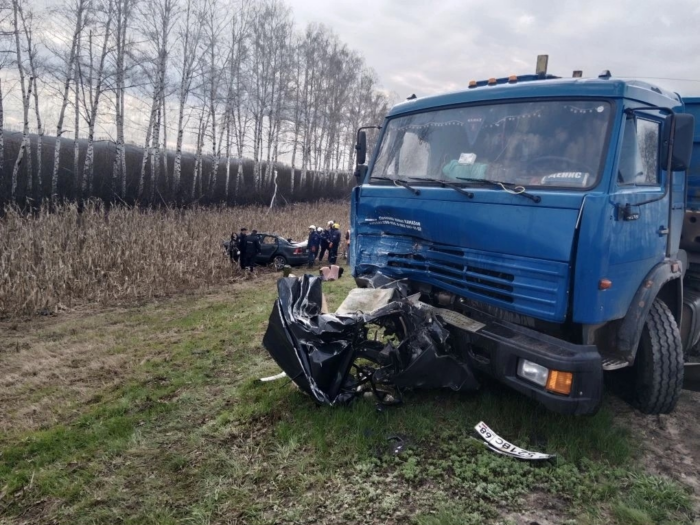 Владимирец заснул за рулём и погиб с пассажиркой на трассе «Каспий»