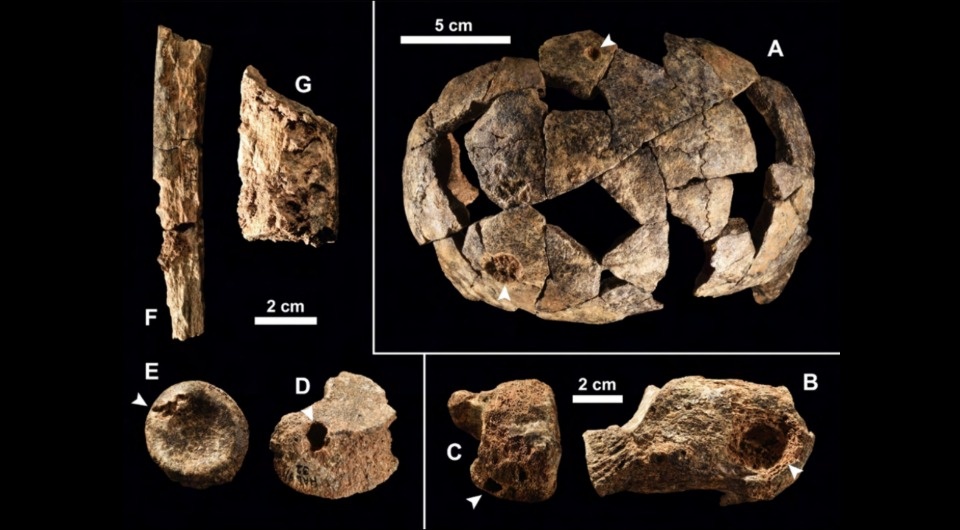   Yonas Beyene et al. / Proceedings of the National Academy of Sciences, 2026
