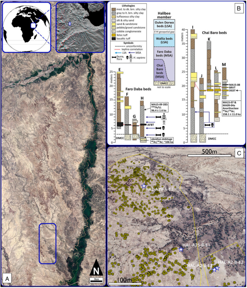   Yonas Beyene et al. / Proceedings of the National Academy of Sciences, 2026