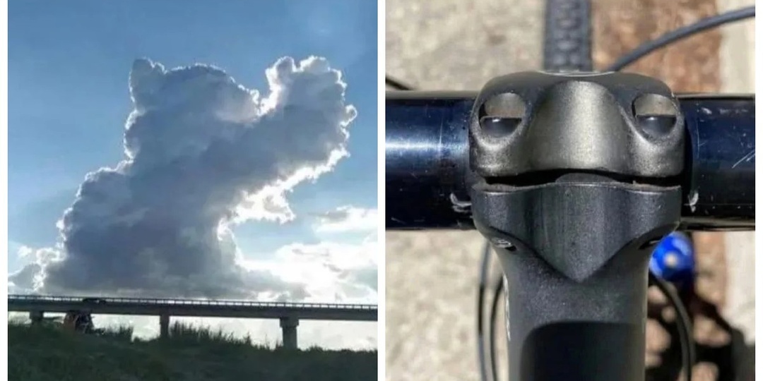 32 фотографии, которые заставят вас пересмотреть отношение к носкам, бананам и облакам