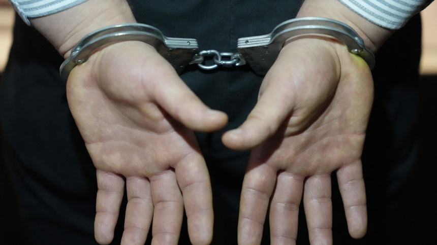    Фото: ИЗВЕСТИЯ/Дмитрий Коротаев; 5-tv.ru