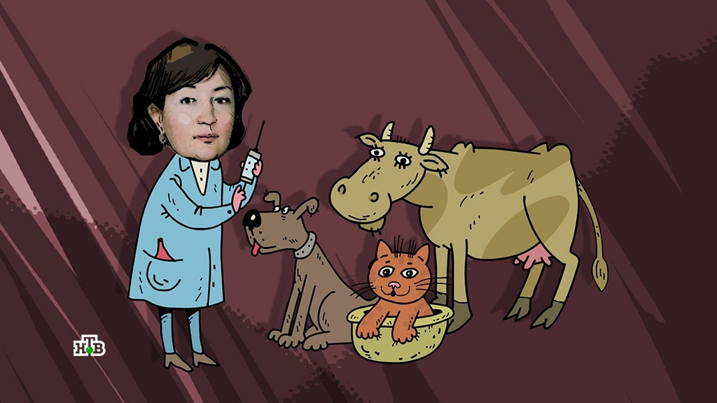    Юрист или ветеринар: журналисты НТВ изучили дипломы «золотой судьи» Хахалевой