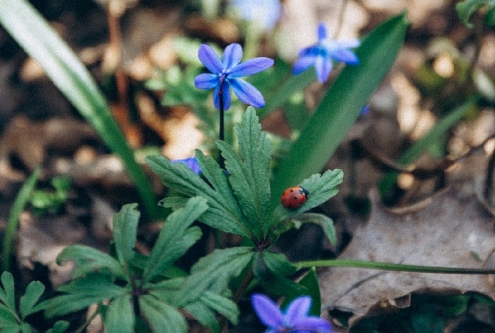     Фото: соцсети, https://kinospartak.ru/