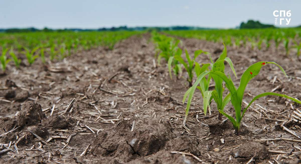 Источник: Freepik