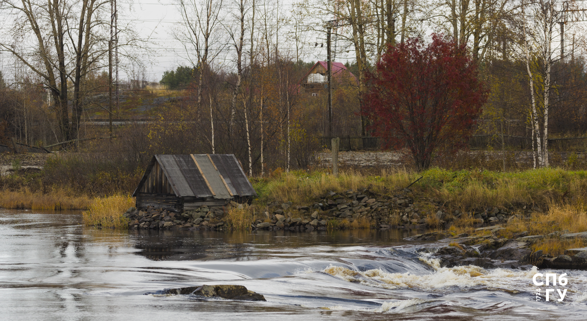 Источник: Freepik