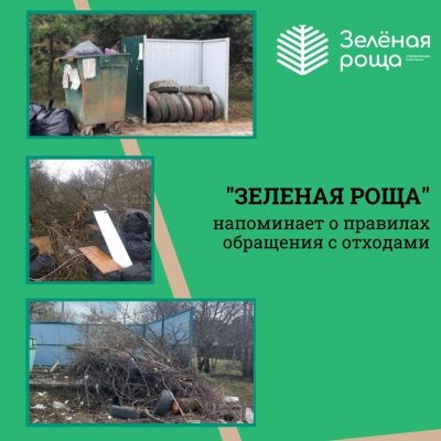 картинка предоставлена «Зеленой рощей»  📷

