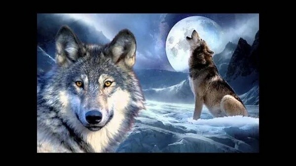 Фото из Яндекса