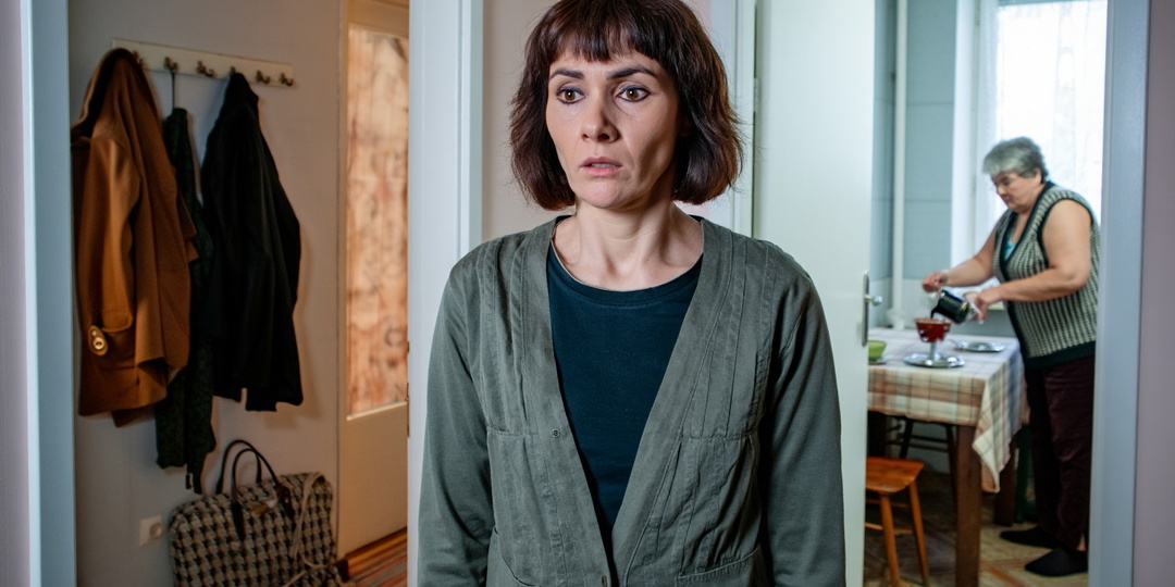 Брат попросил пустить тёщу на четыре дня. Через неделю они уже делили мою квартиру