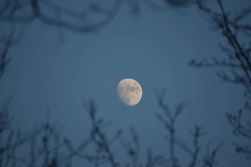 Фото: UfacityNews.ru