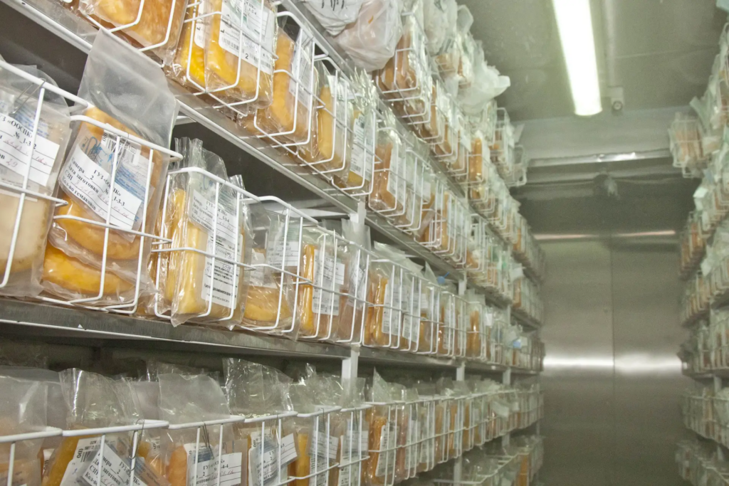   Плазма. Фото: Натальи Русиновой