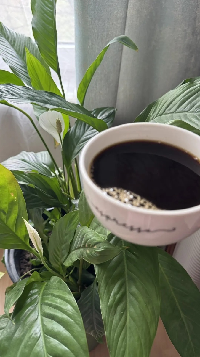  Время расширяться — не только внешне, но и внутри.