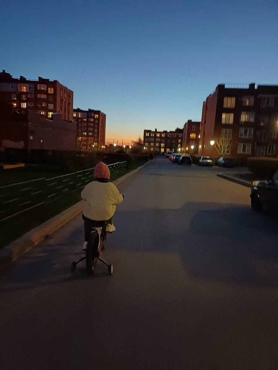 возвращение с вечерней прогулки