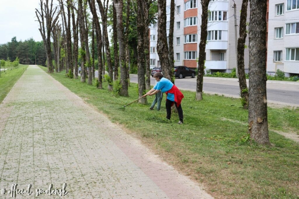    Фото: smoladmin.ru