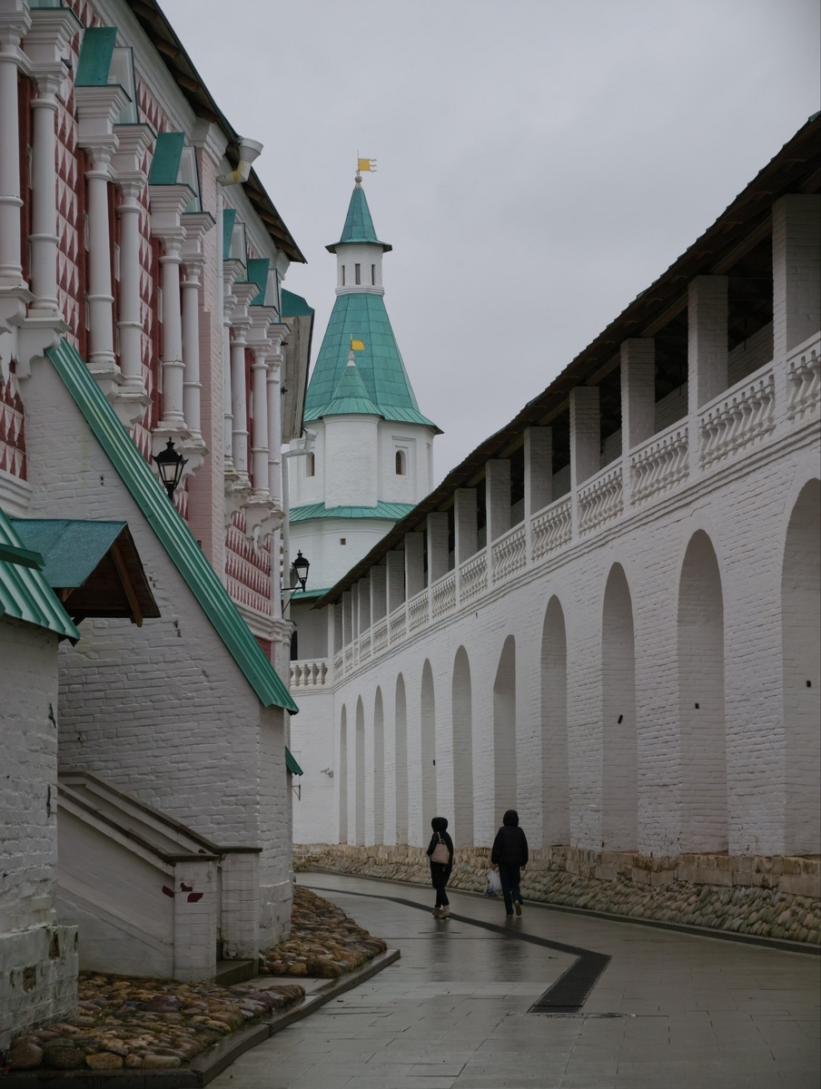 В стенах монастыря .