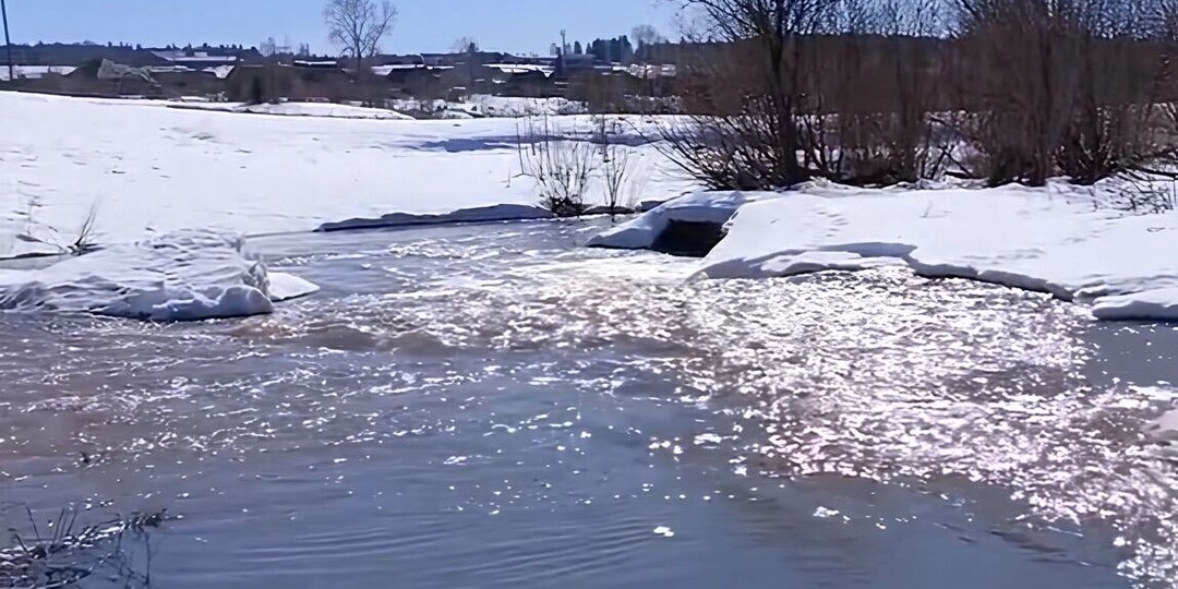 Река против деревни: жители Прикамья пожаловались Путину на вечную проблему