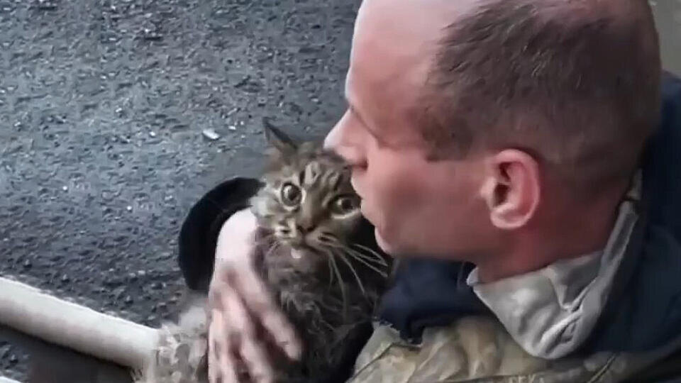 Спасатель откачал двух пострадавших в пожаре котов в Тюмени