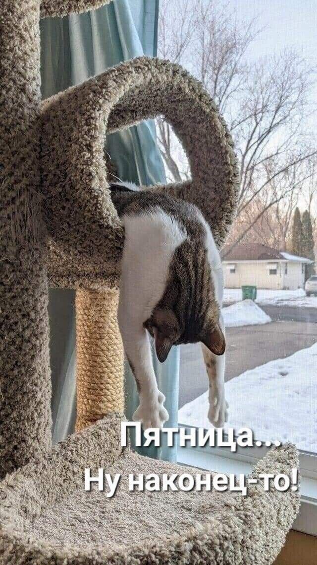 фото из интернета