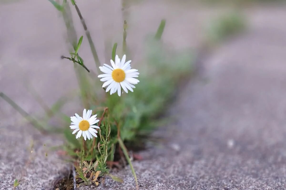 Фото: UfaTime.ru