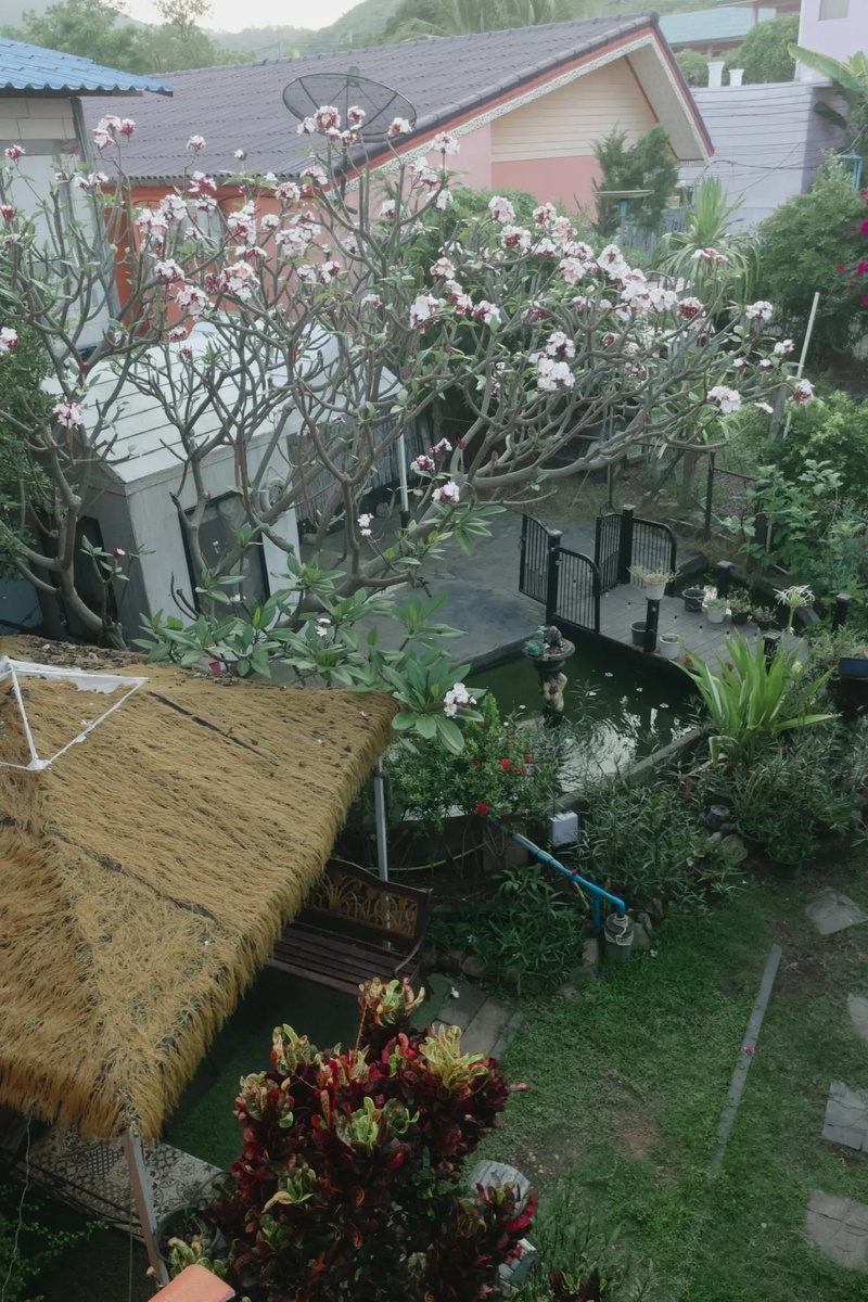 Фото автора статьи. Территория отдыха отеля. Вид из окна 2 этажа.