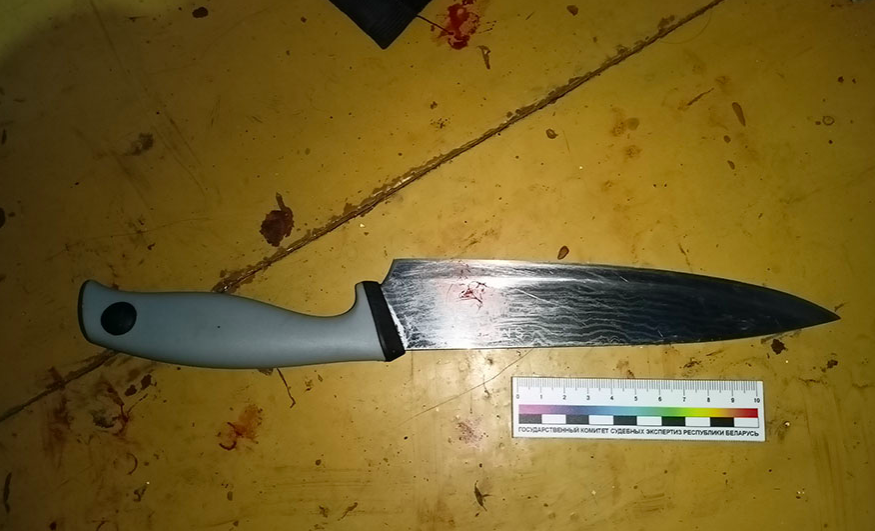 На Гомельщине иностранец убил беременную жену, покушался на убийство пасынка, изнасиловал и взял в заложники падчерицу