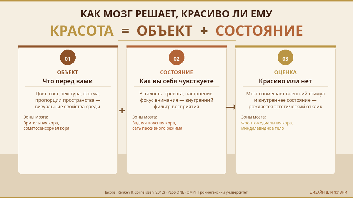 Как мозг решает: красиво ли ему