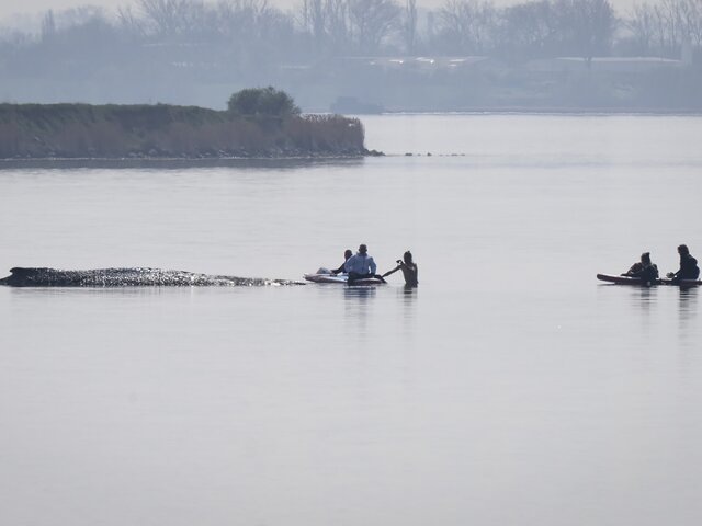   Фото: Getty Images/picture alliance/Philip Dulian