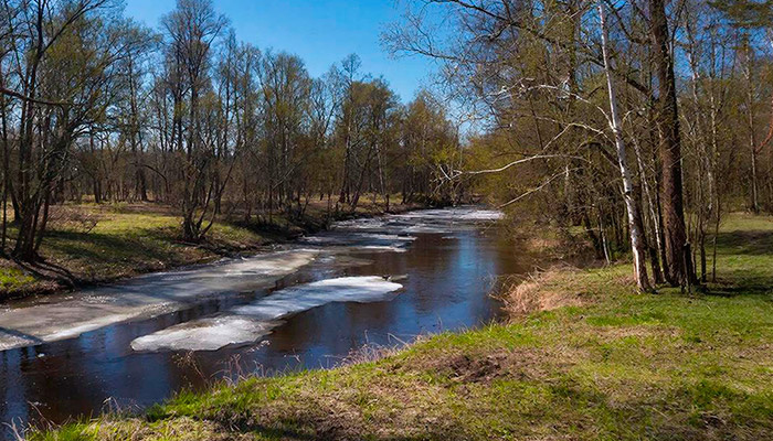 17 апреля в этом году отмечается Светлая (Прощеная) пятница. Фото: GigaChat