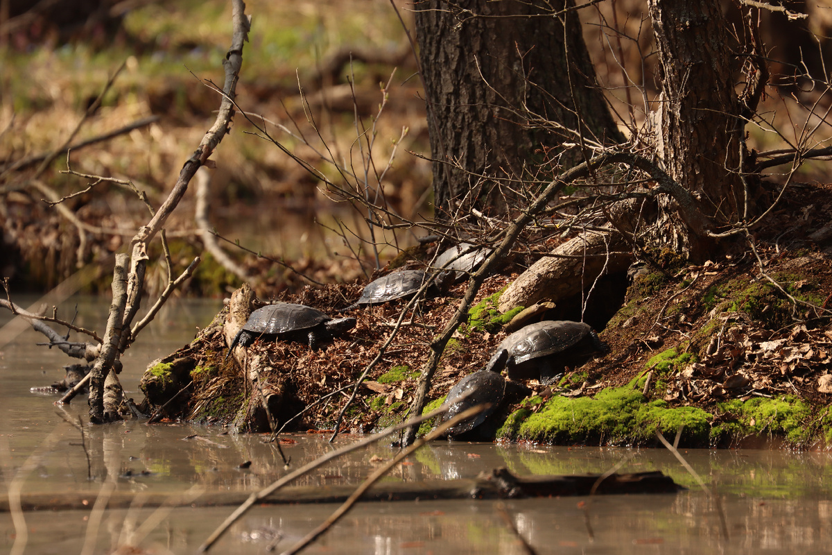"Четвертый, Пятый! Расчёт закончил!"