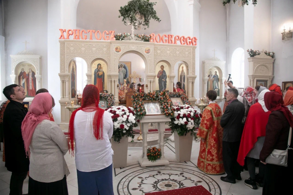    Фото: Пресс-служба Законодательной думы Томской области