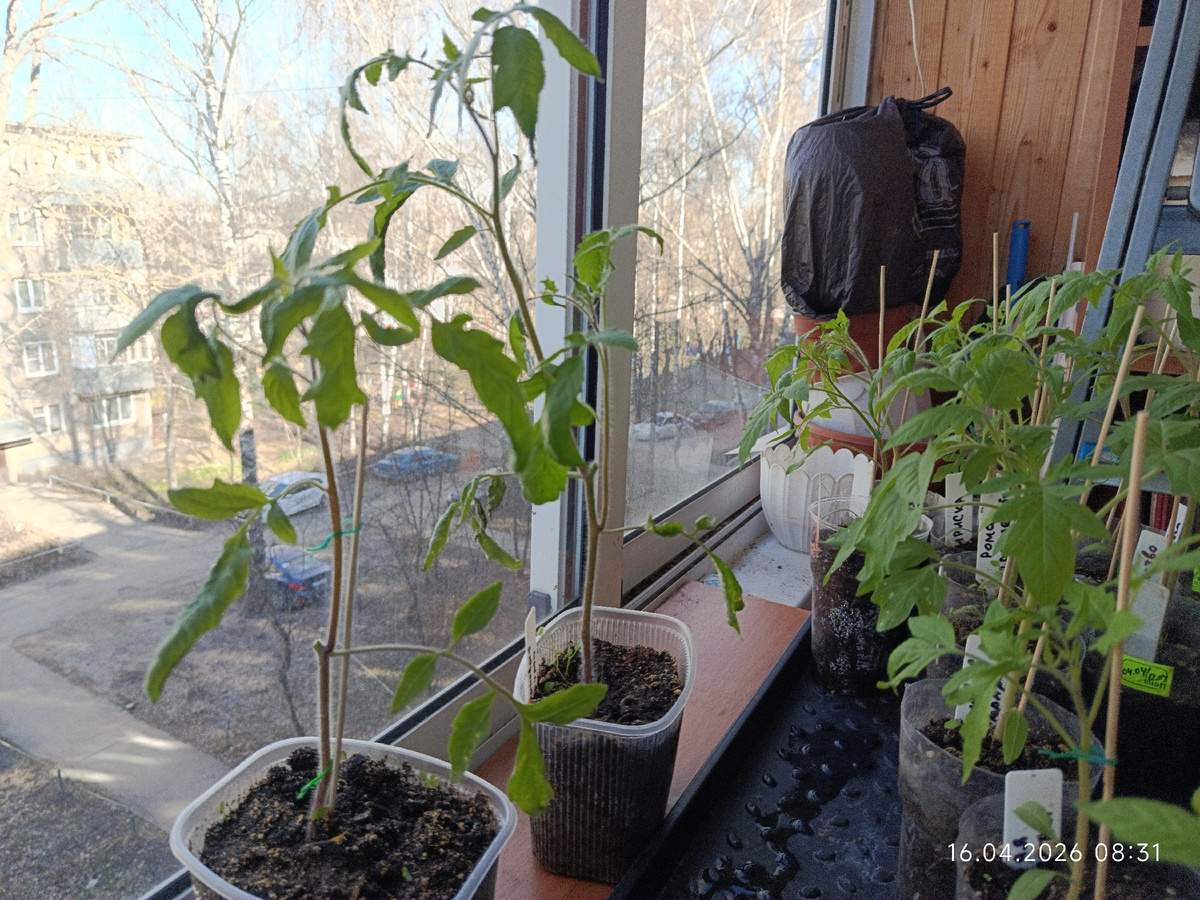 Здесь высота с литровым стаканом все 40 см