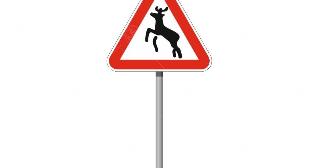 В Беларуси запущена система раннего оповещения о животных на дороге