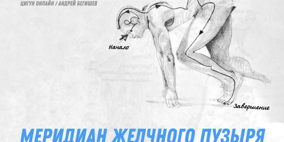 МЕРИДИАН ЖЕЛЧНОГО ПУЗЫРЯ.