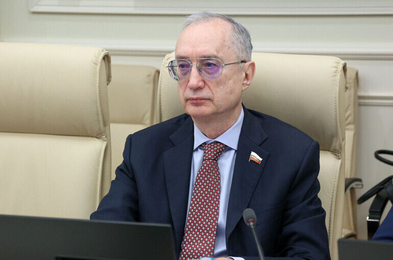   Денис Вышинский/Пресс-служба Совета Федерации