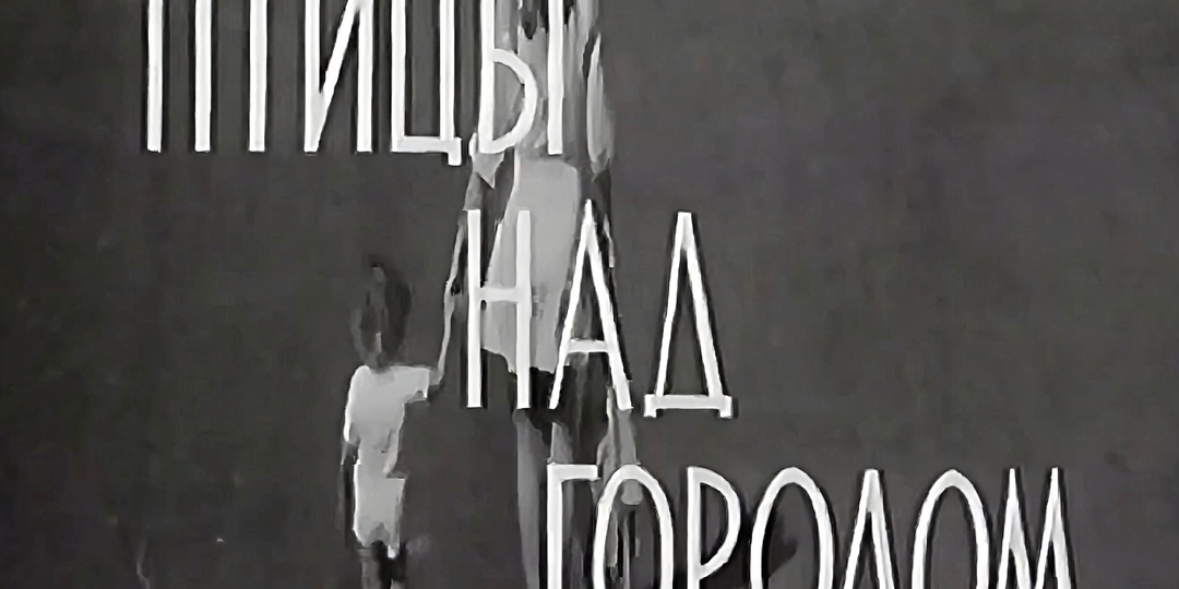 Кино, которое учит человечности: «Птицы над городом» – режиссёрский дебют Сергея Никоненко.