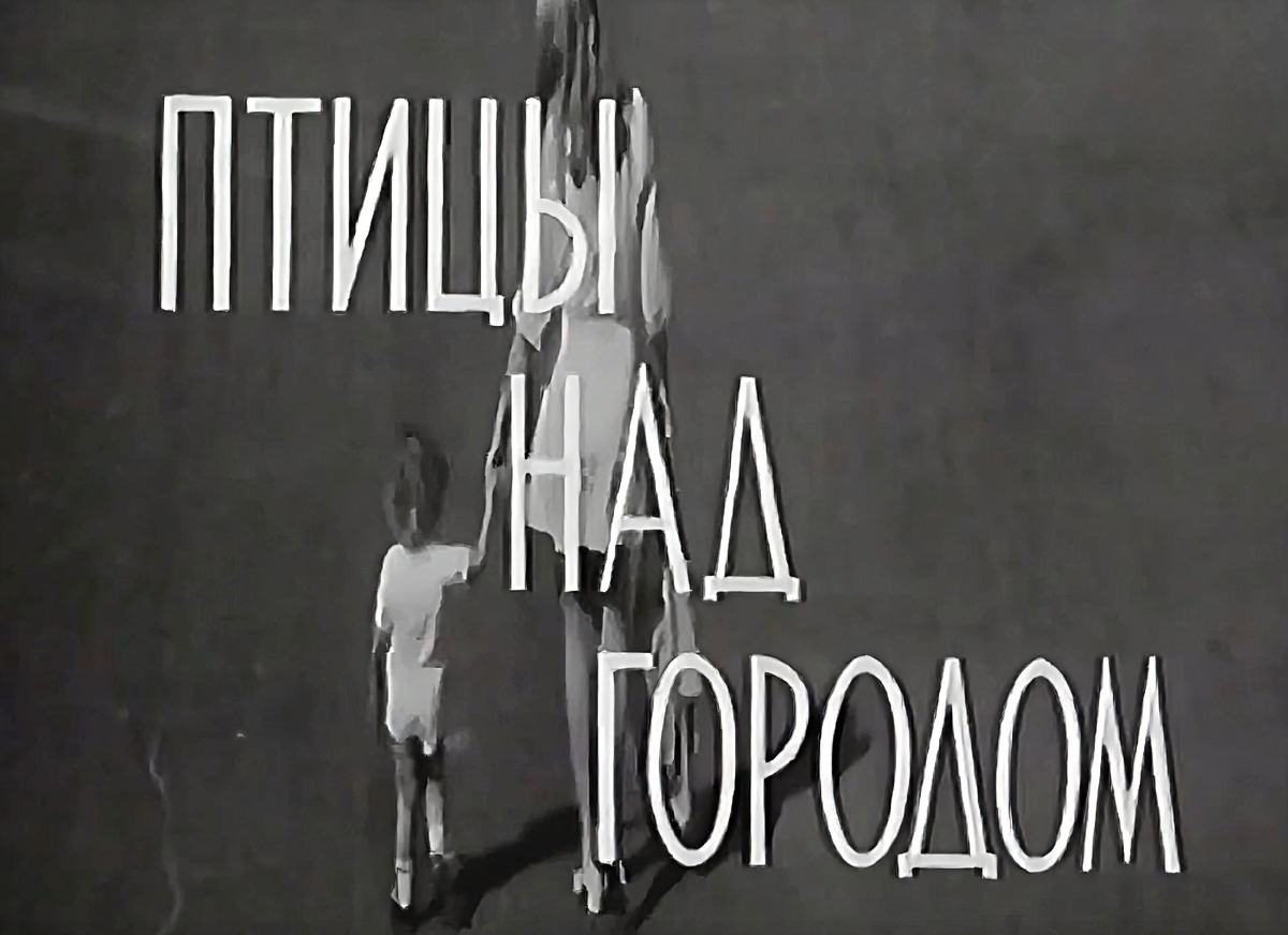 Кадр из к/ф «Птицы над городом» (1974)