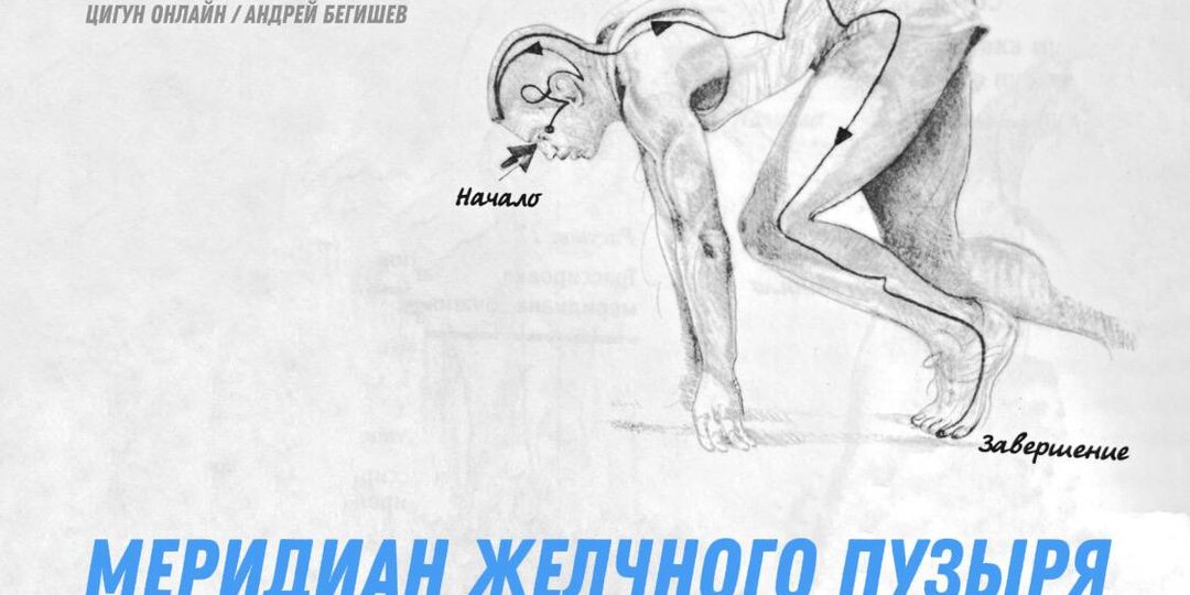 МЕРИДИАН ЖЕЛЧНОГО ПУЗЫРЯ