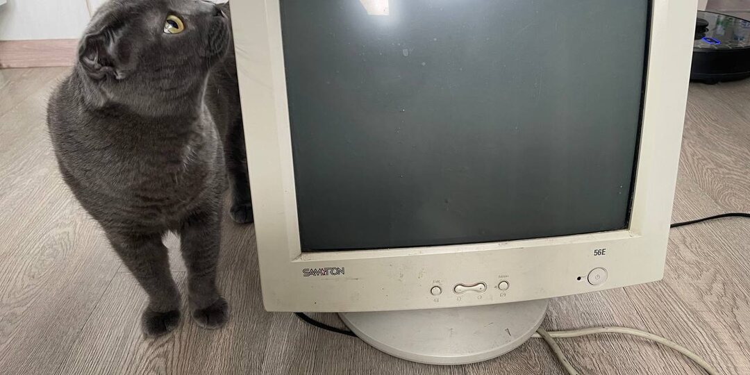 Продавец ехал ко мне с монитором Samtron и попал в аварию! Монитор не пострадал, но машину придется ремонтировать.