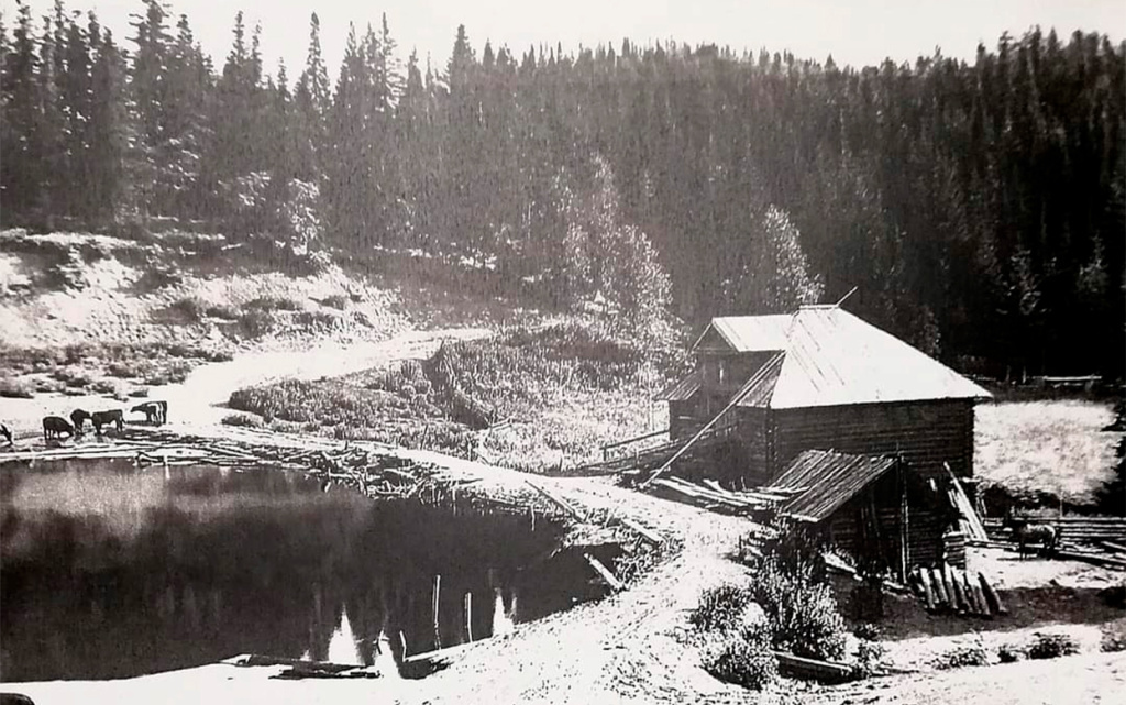  Вот так выглядела Костина мельница в 1908 году. Фото: iz-article.ru