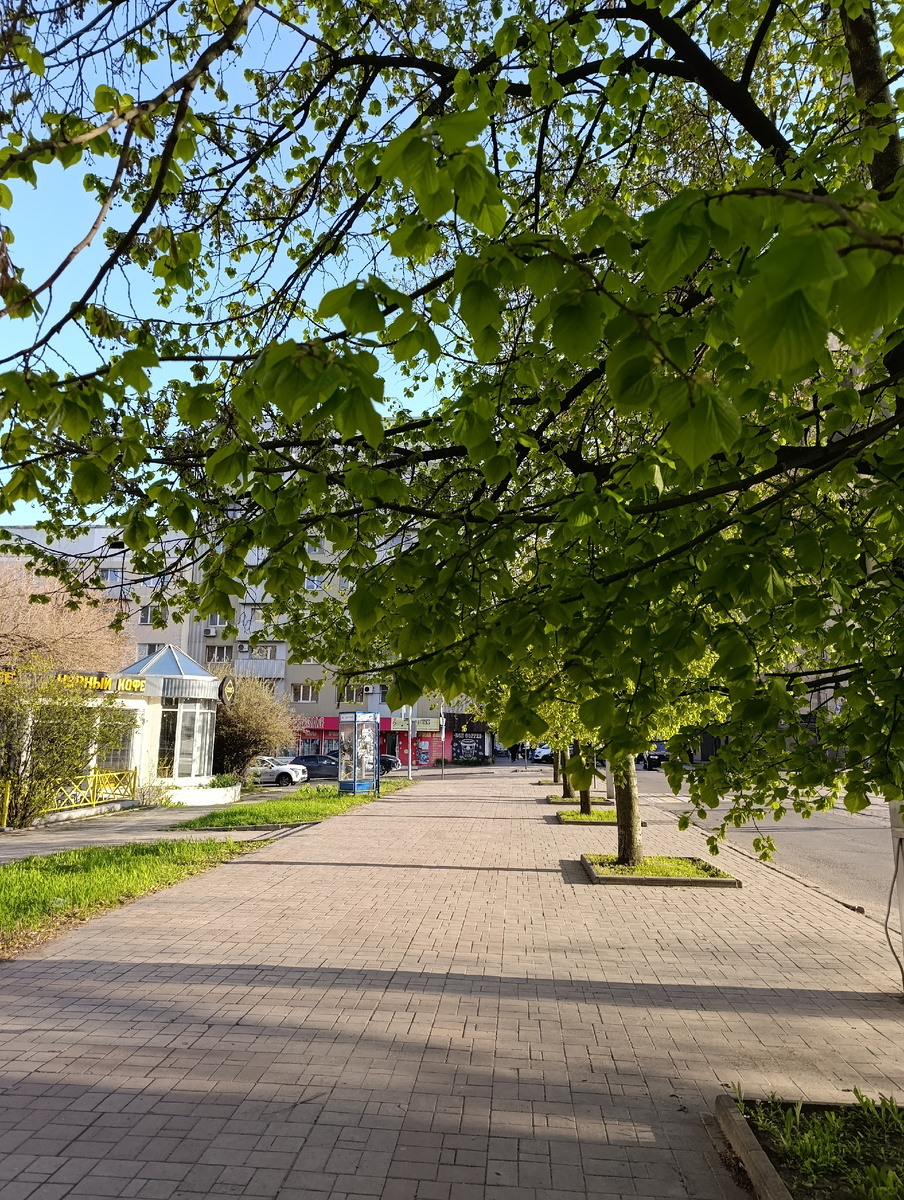 Весна в центре Донецка.