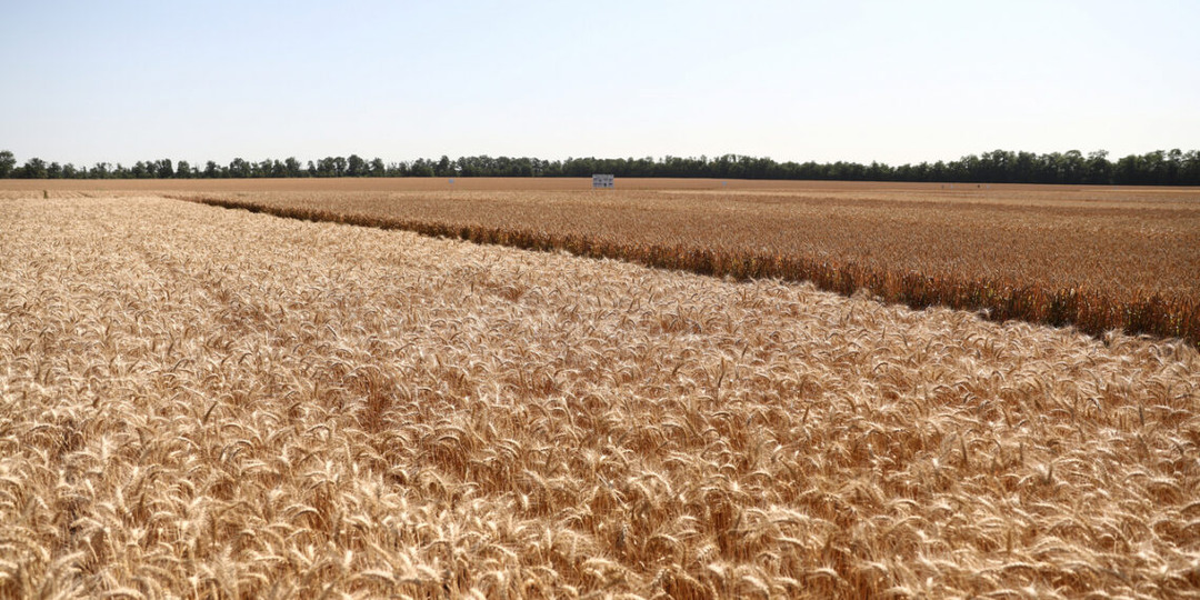 Аграрии Дона в 2026 г. получили почти 3,4 млрд рублей льготных кредитов