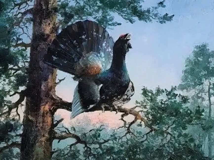 Рис. Токующий глухарь.