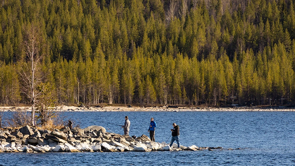 Рыбалка на Кольском полуострове — топ мест для самого богатого улова