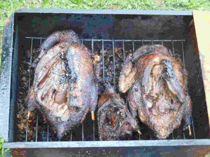 Копченая утка