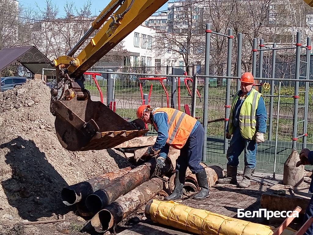     Фото: Елена Воропаева