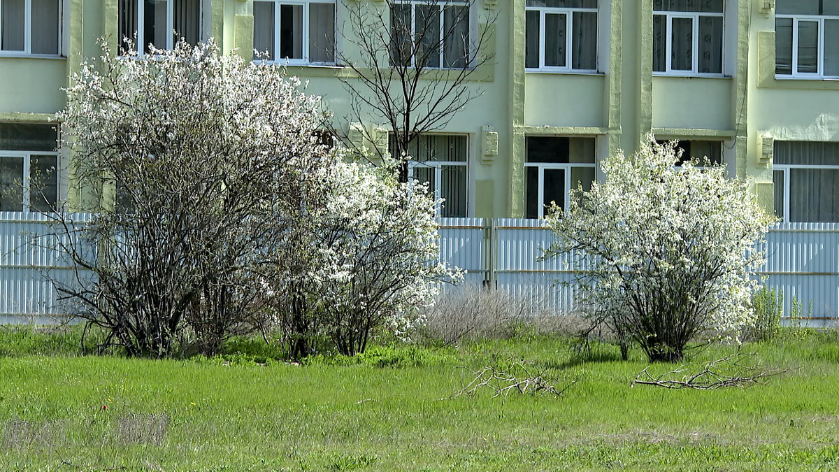    Фото: ТРК Таврия